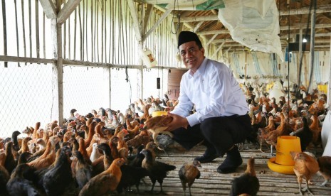 Menteri Pertanian Amran Ancam Cabut Izin Usaha Pedagang yang Mainkan Harga Pakan dan Telur