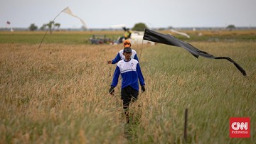 Pemerintah Klaim Swasembada Delapan Komoditas Pangan, Surplus Jagung Capai 5,73 Juta Ton di 2026