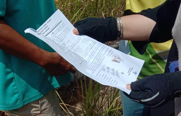 Kelompok Tani di Bangka Selatan Minta Pemeriksaan Total Status Lahan Sawah yang Diduga Jadi Kebun Sawit