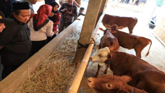 Komisi B DPRD Jateng Tinjau Kandang Sapi di Wonogiri, Nilai Potensi Besar Dukung Swasembada Daging dan Susu