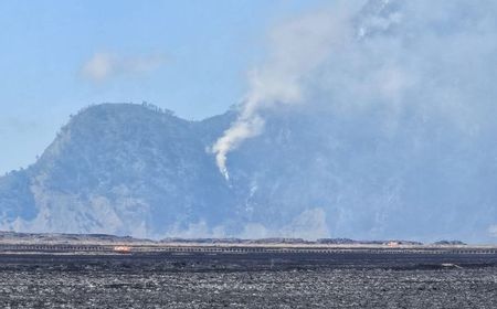 BMKG Ingatkan El Nino Kuat Perpanjang Kemarau di Jatim hingga Awal 2027, Risiko Karhutla Meningkat