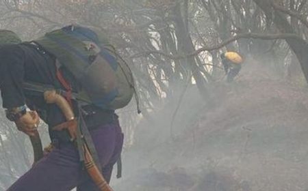 Kebakaran Gunung Gede Masih Menyisakan Empat Titik Asap, Satu Bara di Tebing Timur Belum Terjangkau