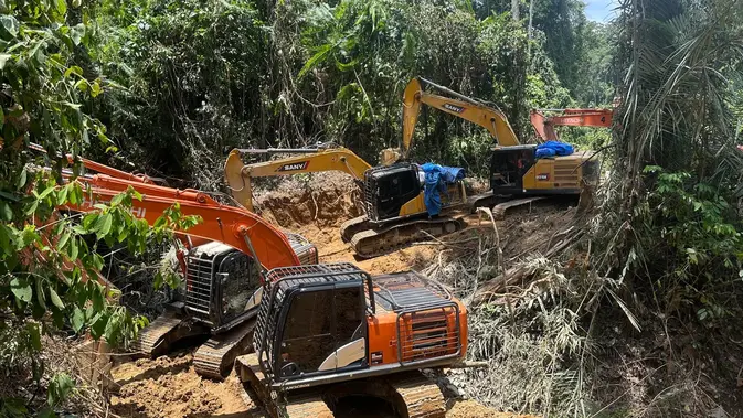 Pemerintah Siapkan Jalur Legal bagi Penambang Emas Ilegal, Target Produksi 120 Ton per Tahun Tercatat Resmi