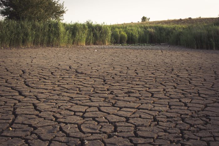 El Nino Ancam Pulau Taliabu, Pemkab Petakan Wilayah Terdampak dan Siapkan Cadangan Air untuk Petani