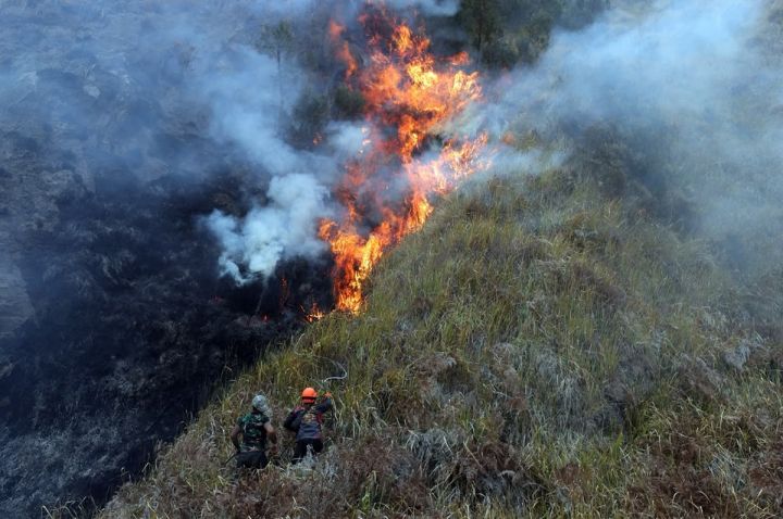 Pakar IPB: Karakter Geografis Bromo yang Menyerupai Kuali Membuat Api Sulit Diprediksi