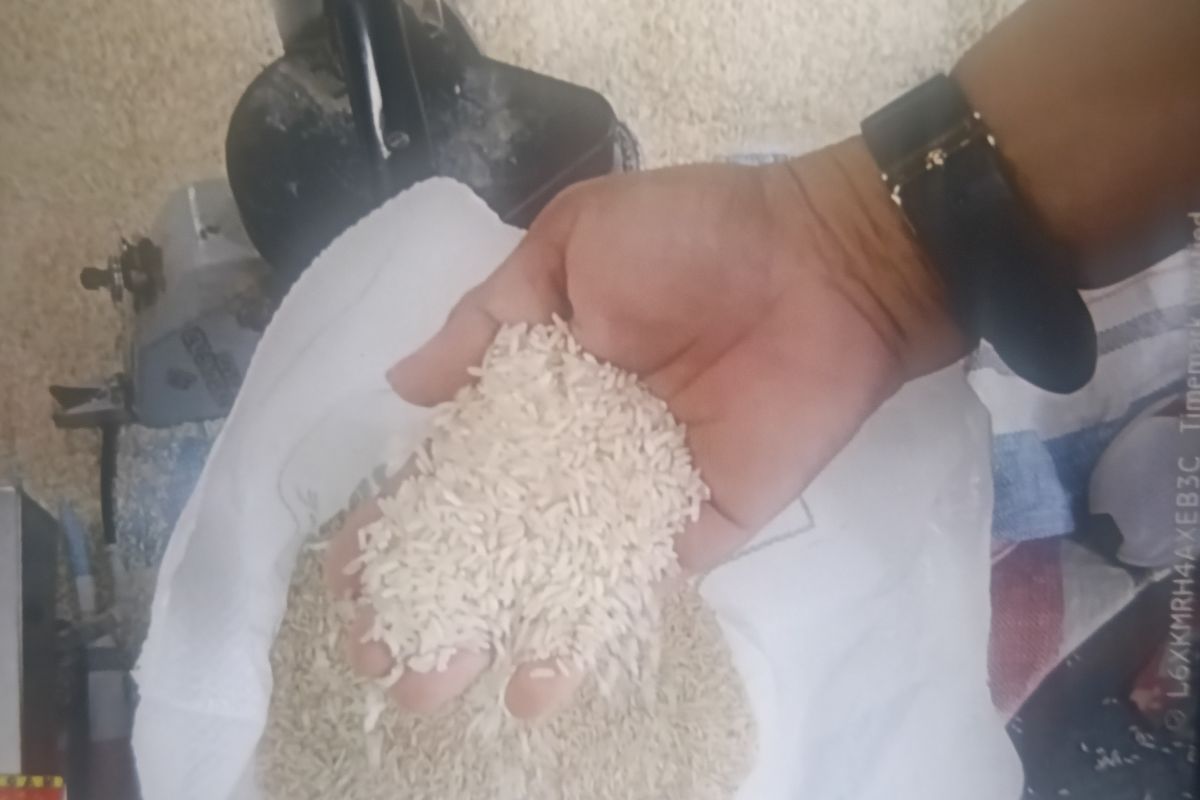 Pemkab Agam Periksa Kualitas 30 Kg Beras Bantuan Bapanas di Gudang Bulog Sago Sebelum Disalurkan ke Penerima