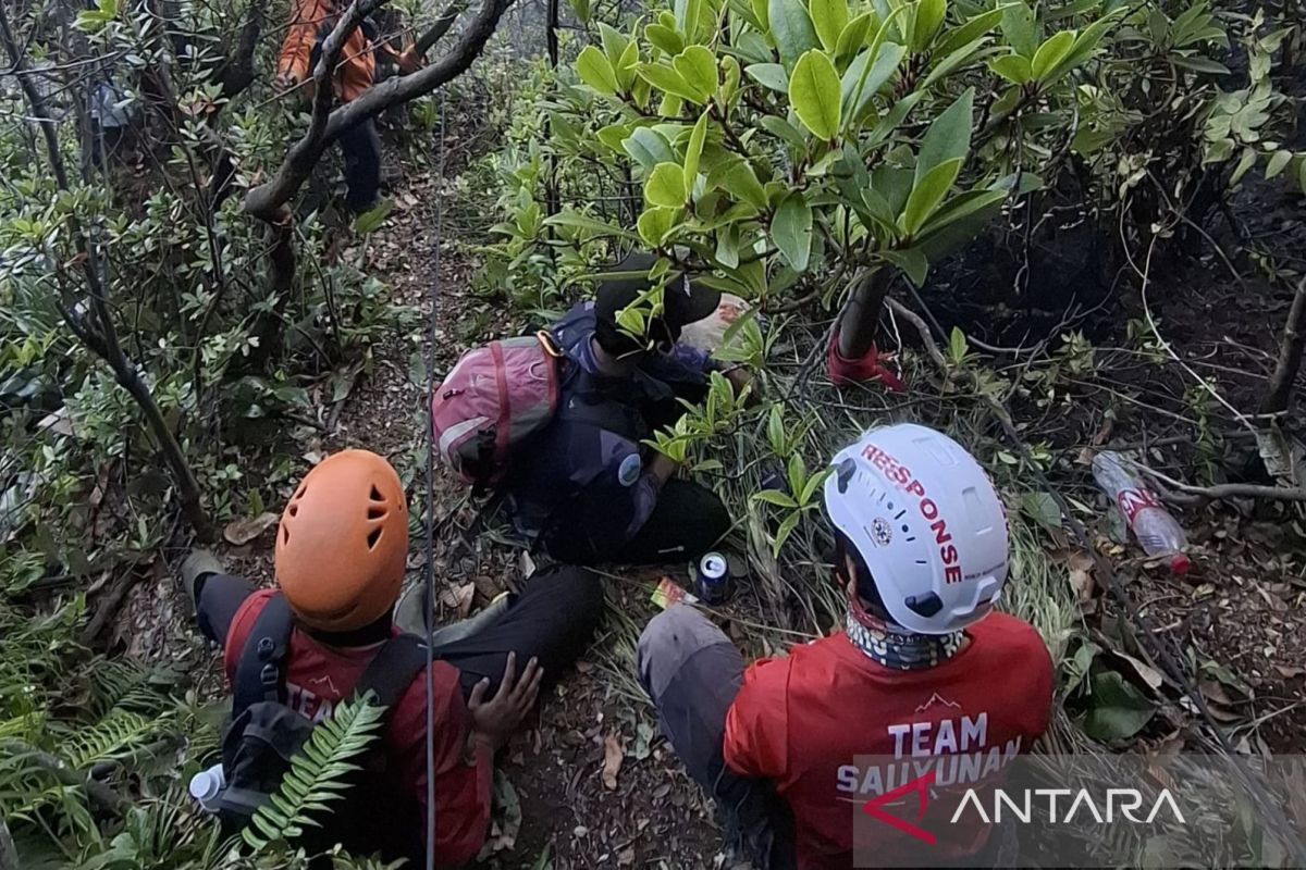 Kebakaran Kawah Wadon Gunung Gede Capai 5,8 Hektare, Puluhan Relawan Mundur karena Kecewa