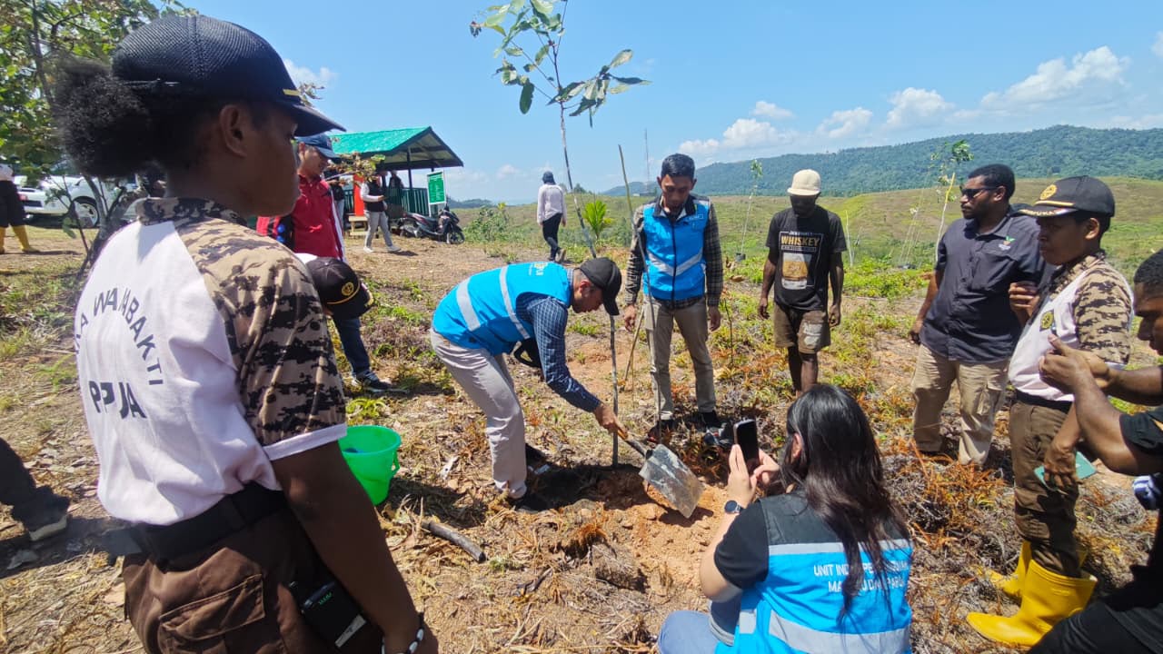 PLN UIP MPA Tanam 203 Pohon di Kampung Sabron Yaru Jayapura, Wujud Kemerdekaan Lewat Aksi Lingkungan
