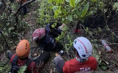 Puluhan Relawan Mundur dari Pemadaman Kebakaran Gunung Gede, Sebut Tak Ada Dukungan Balai TNGGP