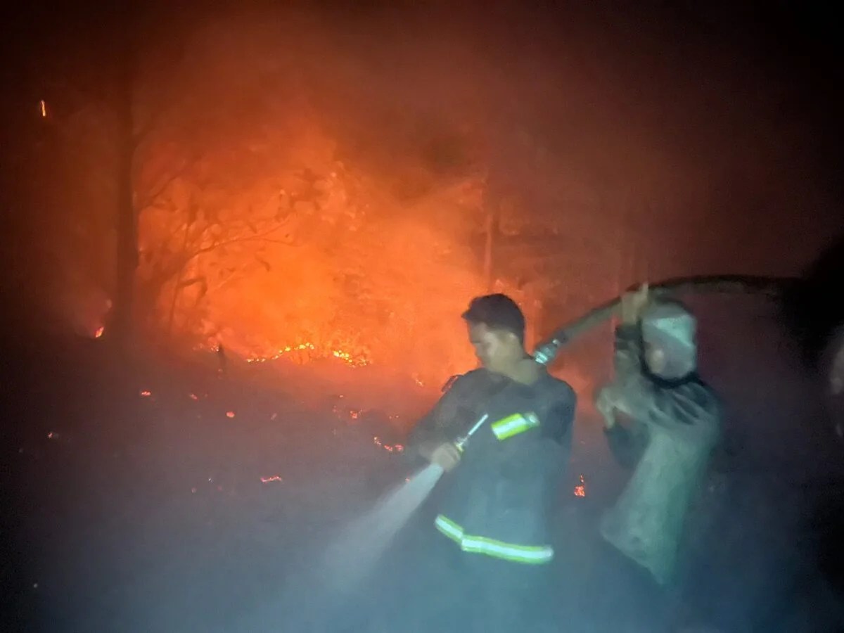 Kebakaran Lahan 2 Hektare di Tanjung Selor, 35 Personel Ditsamapta Polda Kaltara Dikerahkan