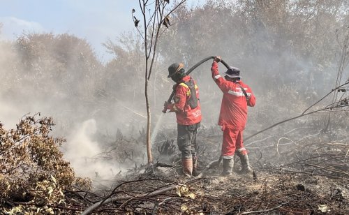 489 Titik Panas Terdeteksi di Sumatera, Riau Catat 46 Titik dan Bengkalis Jadi Wilayah Terbanyak
