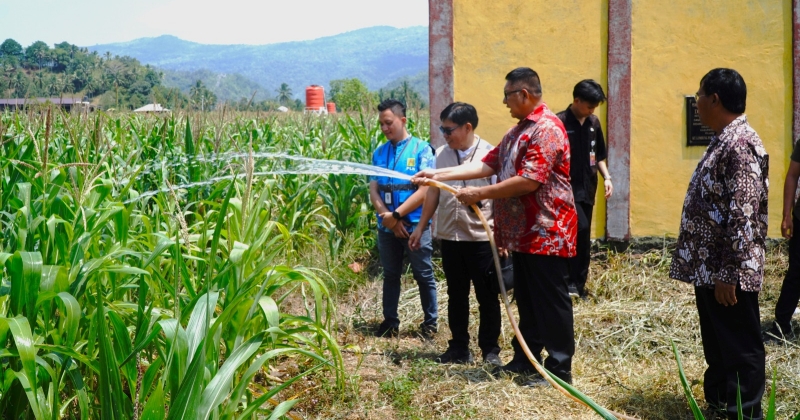PLN Bangun Irigasi Listrik untuk Petani Torout, Biaya Produksi Dipangkas Lebih dari 50 Persen