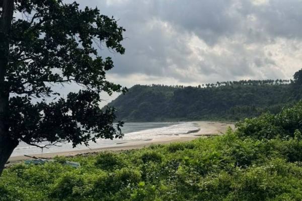 PTPN Group dan InJourney Garap Desa Bulok Jadi Destinasi Wisata, 810 Bibit Kelapa Ditanam saat HUT RI