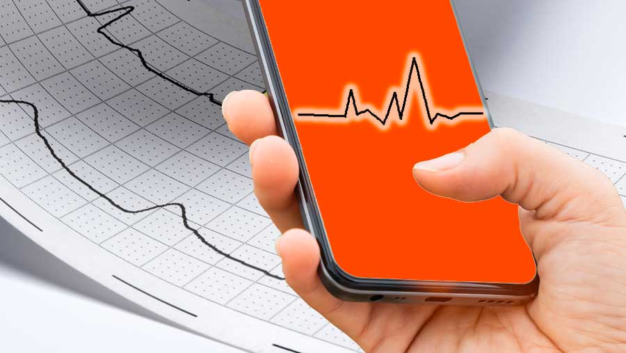 BMKG Keluarkan Peringatan Dini Tsunami Usai Gempa M 7,0 Guncang Nagekeo NTT