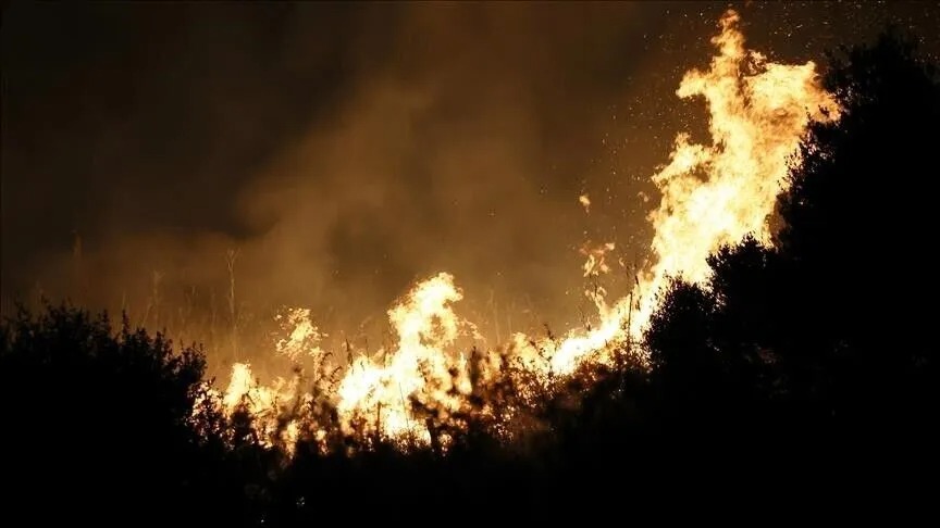 Gelombang Panas 38,1 Derajat Celsius Landa Inggris, Ratusan Petugas Pemadam Dikerahkan ke West Midlands