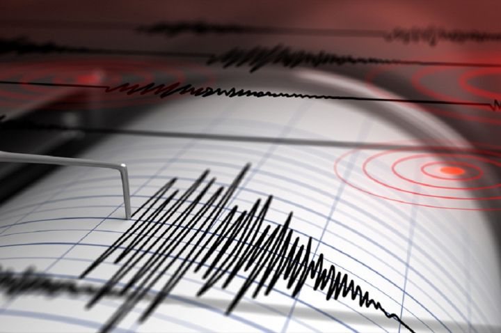 BMKG Catat Tsunami 0,94 Meter di Ende, Warga Pesisir NTT Diminta Tak Kembali ke Pantai