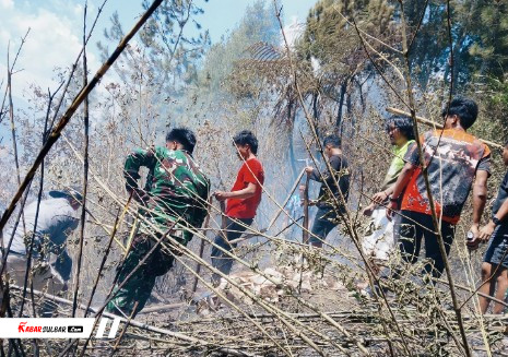 Personel Kodim 1428/Mamasa Padamkan Kebakaran Hutan di Kelurahan Mamasa, Kasdim Imbau Warga Waspada Titik Api