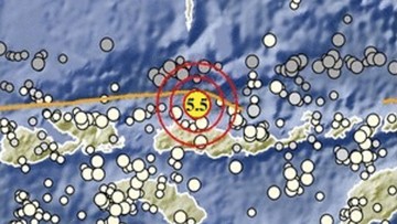 Gempa NTT M7,7 Dipicu Sesar Flores, BMKG Catat 235 Gempa Susulan dan Tsunami 1,61 Meter