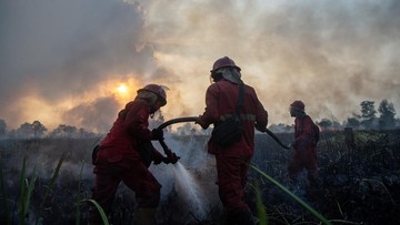 Antisipasi Karhutla di Kalimantan Selatan, Kementerian Kehutanan Deteksi 73 Titik Panas dan Segera Lakukan Verifikasi Lapangan