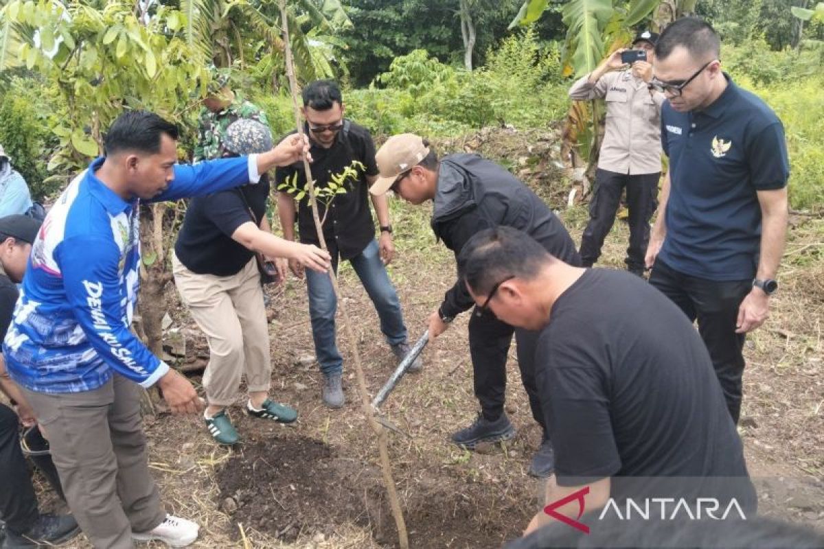 Pemkot Medan Tanam 525 Pohon di 21 Kecamatan, Target 61.170 Pohon Pengganti Dampak BRT