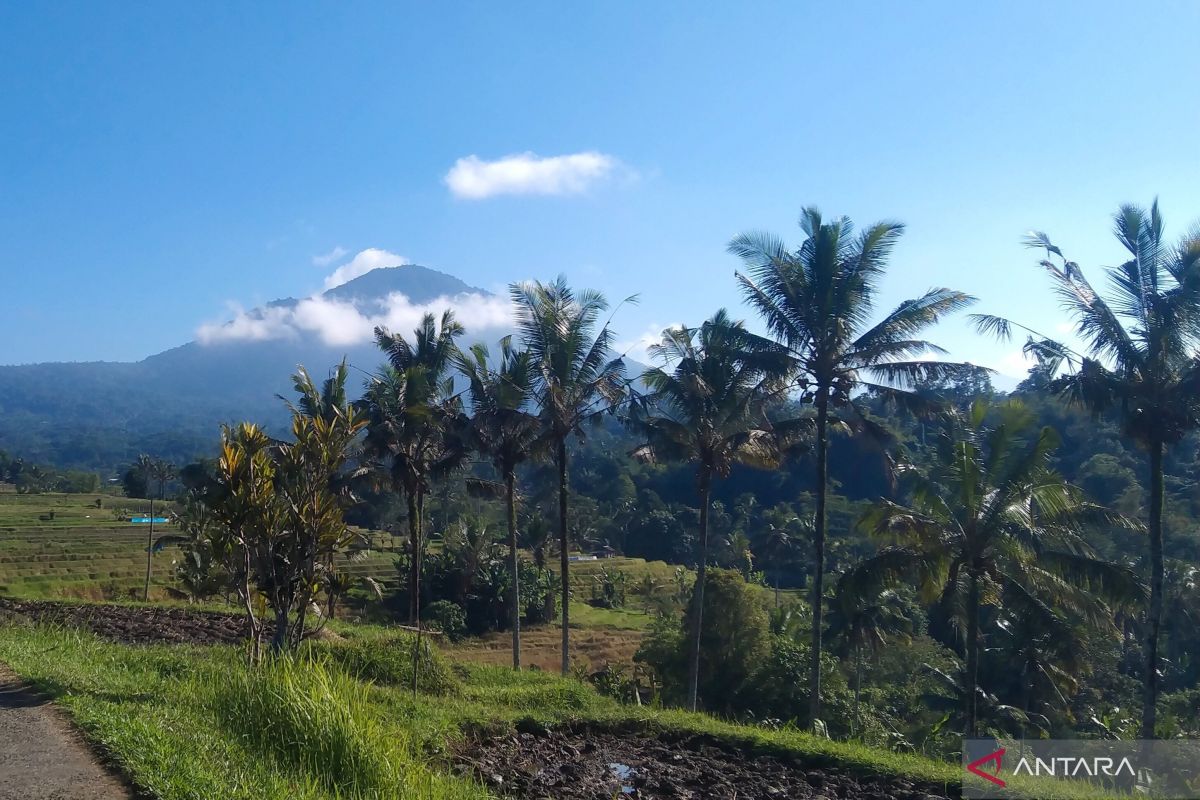 Prakiraan Cuaca di Bali Saat 17 Agustus: 8 Kabupaten Cerah Berawan, Hanya Bangli Berpotensi Hujan Sore Hari