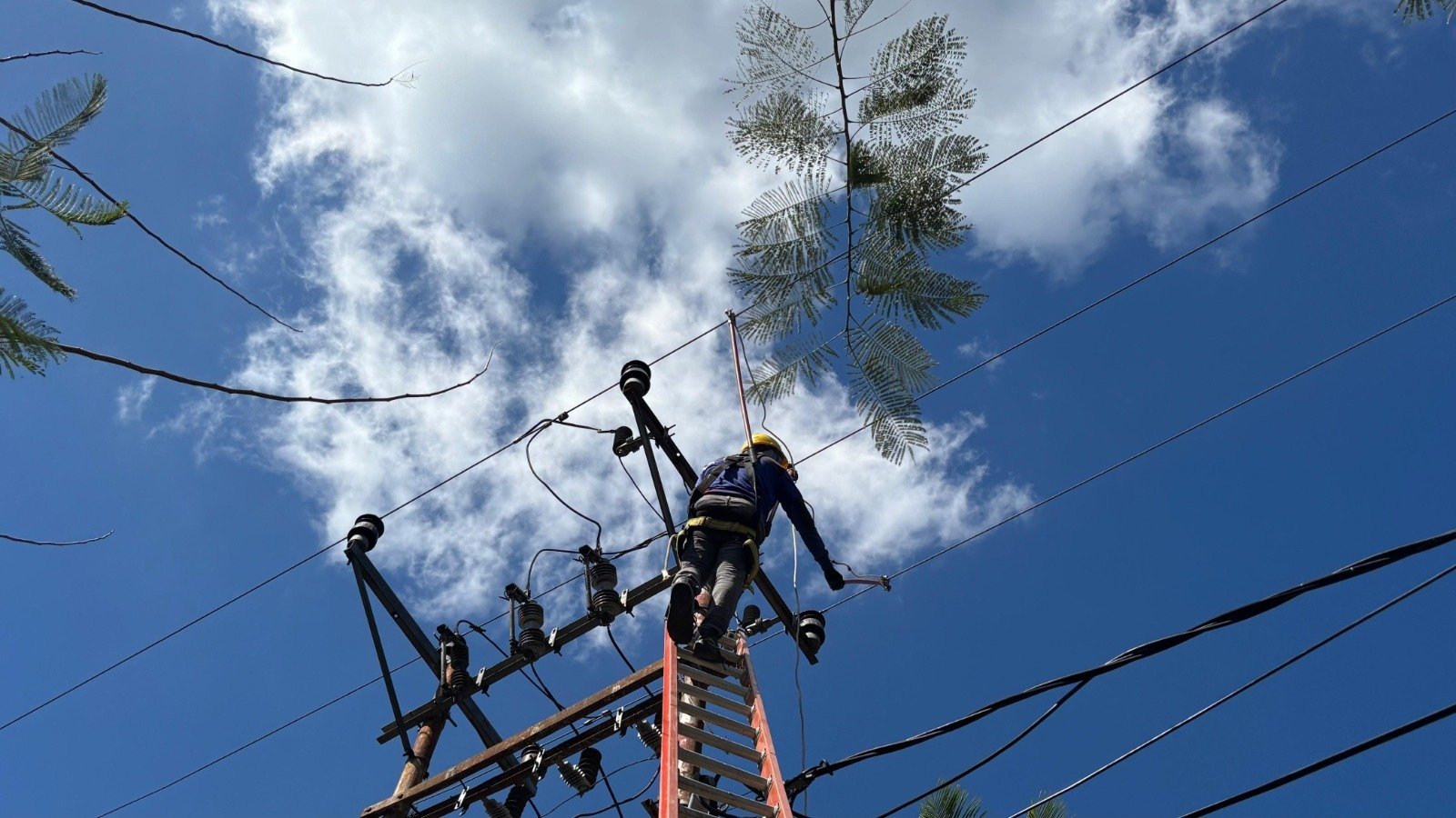 PLN NTB Ganti Peralatan Kunci Jaringan Listrik di Praya, Target Gangguan Distribusi Turun Jelang HUT RI ke-81