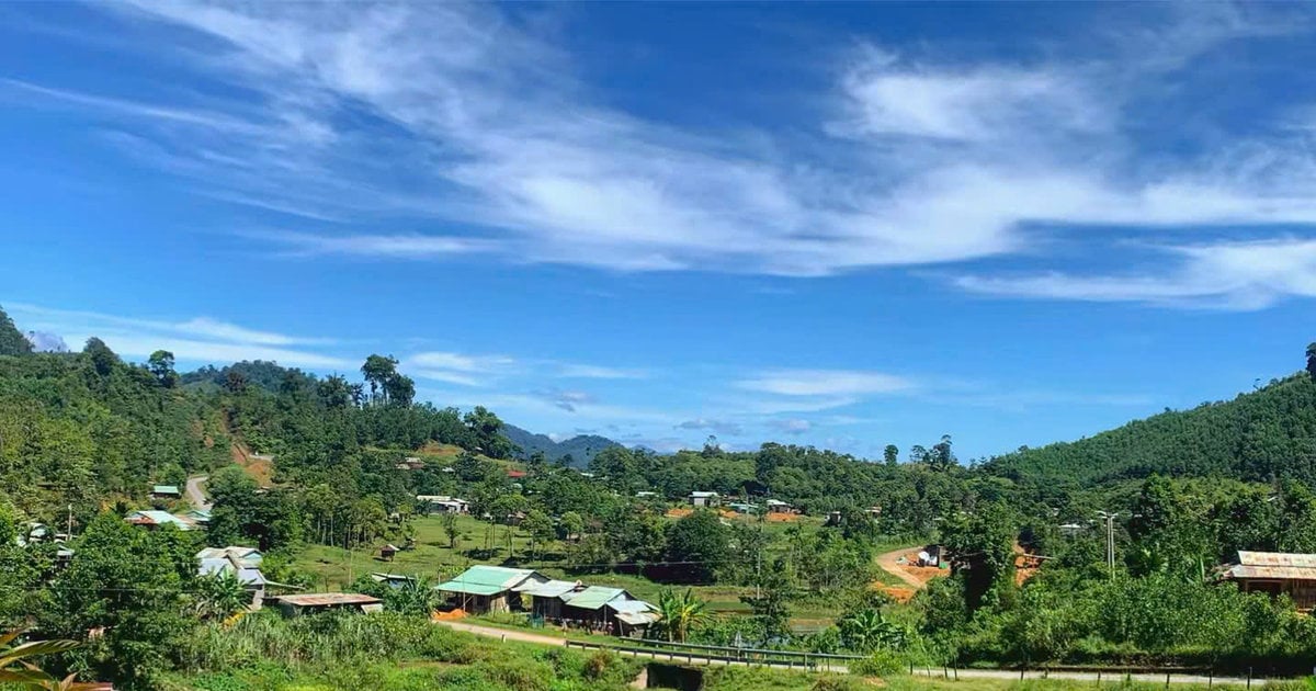Desa Pensiun di Lereng Hutan Tra Van, Da Nang: Model Baru Wisata Kesehatan Berbasis Tanaman Obat