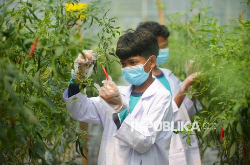 Pesantren Darul Fallah Bogor Wajibkan Santri Bertani dan Beternak, 20 Persen Kurikulum untuk Praktik Wirausaha