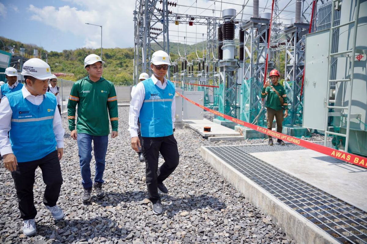 PLN Pulihkan 11 Gardu Induk di Flores Usai Gempa M7,7, 29 Desa Masih Gelap