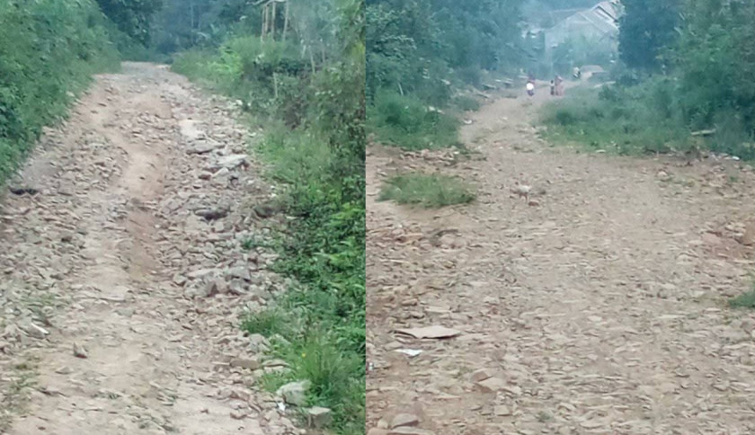46 Tahun Warga Way Kandis Tanggamus Terisolasi, Jalan Rusak di Dekat Kantor Bupati Tak Kunjung Diperbaiki