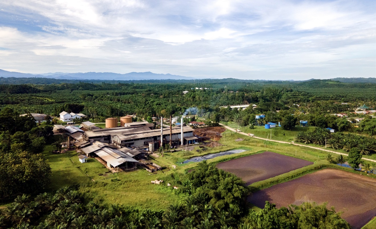 BRIN: Indonesia Berpotensi Hasilkan 125 Juta Ton Limbah Sawit per Tahun untuk Biogas