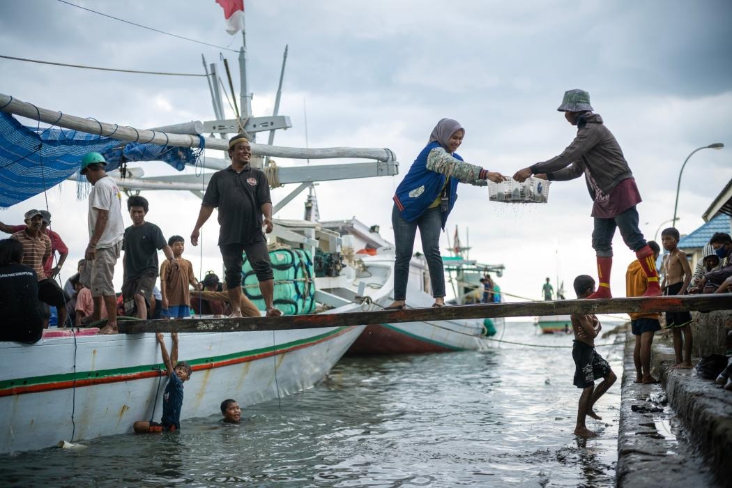 BRI Perkuat Layanan Keuangan di 20 Titik Perbatasan dan 22 Pulau Terluar, 1,13 Juta Agen BRILink Aktif di 60.753 Desa