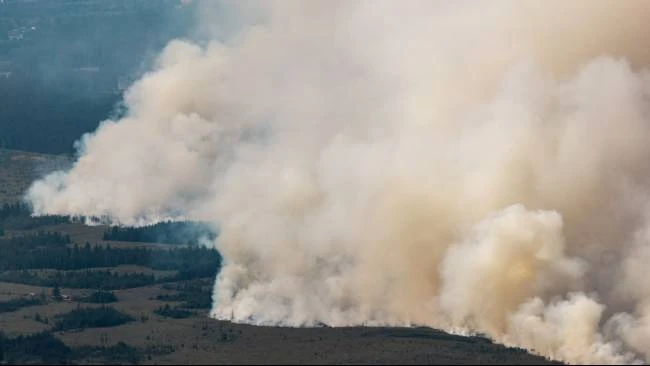 Kebakaran High Fens Hanguskan 2.700 Hektare, 600 Warga Belgia Mengungsi dan Asap Capai Jerman
