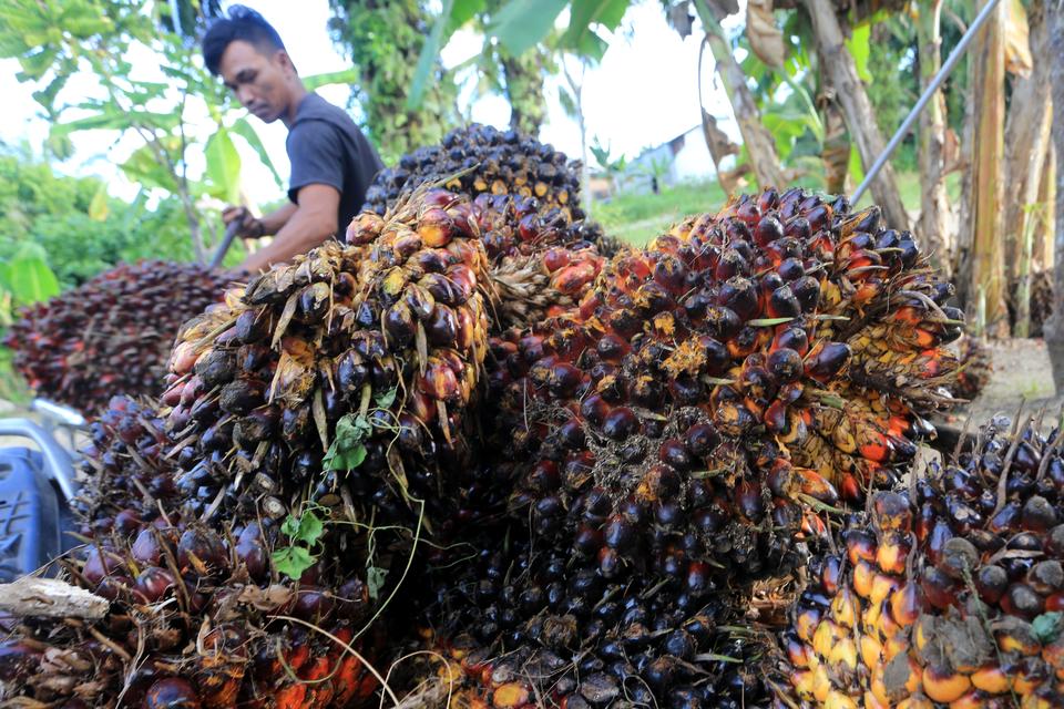 Pemerintah Resmi Beri Nama Bursa Komoditas Icomex, Target Beroperasi 1 Januari 2027