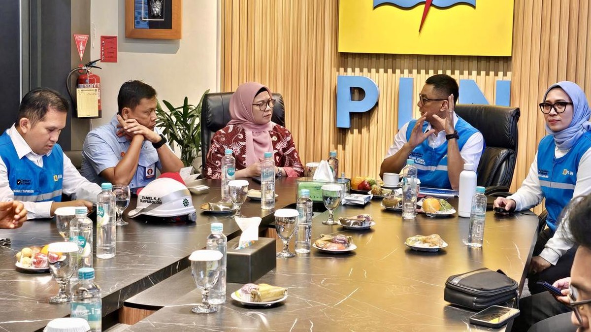 PLN Siagakan 132 Personel dan 8.000 kVA Genset untuk Listrik Upacara HUT ke-81 di Istana