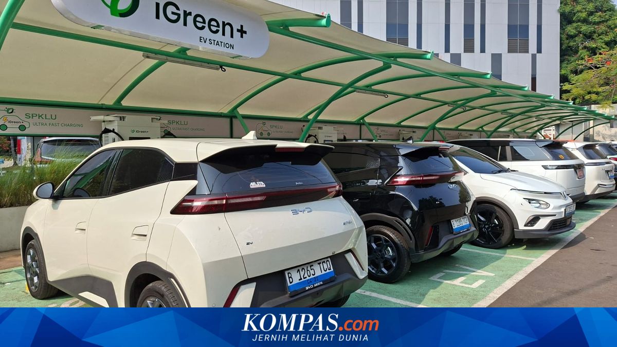 Soal Cas Mobil Listrik, Jangan Biarkan Baterai Sampai 0 Persen Berulang Kali
