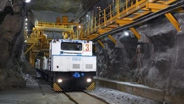 Freeport Lepas 12% Saham ke Pemerintah Tanpa Biaya pada 2041, Ini Syaratnya