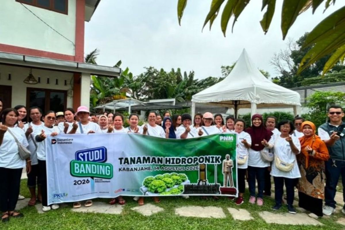 12 Petani Karo Belajar Hidroponik dan Ternak Ayam Tanpa Bau di Medan, Ini yang Mereka Bawa Pulang