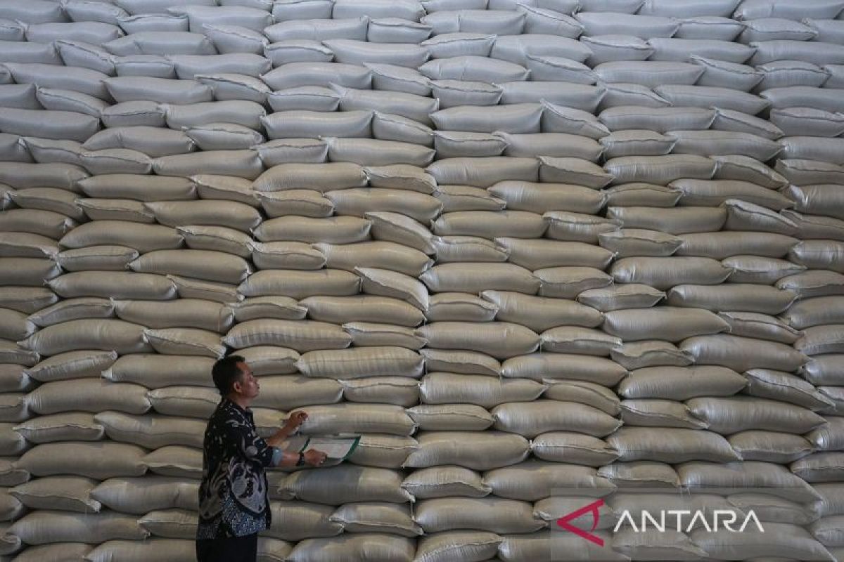 Harga Beras Medium di Pasar Tradisional Lebak Stabil Dua Bulan Terakhir, Stok Petani Lokal Masih Melimpah