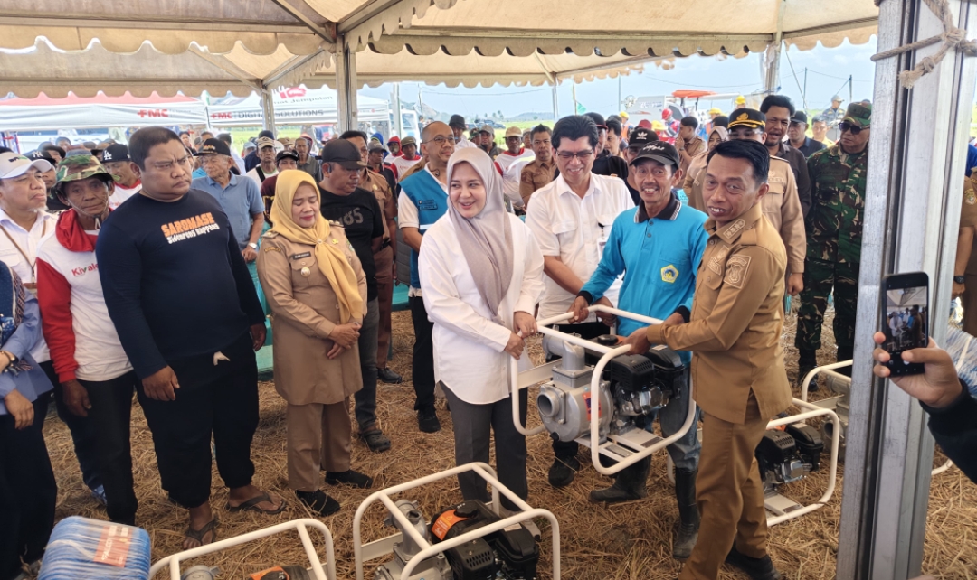 Wagub Sulsel Sebut Sidrap Luar Biasa, Listrik Masuk Sawah Jadi Kunci Panen di Tengah Kemarau
