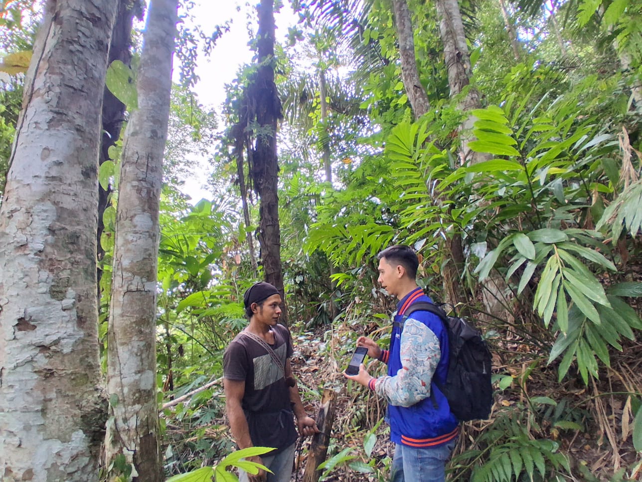 Jalan Berlumpur hingga Kabut Tebal, Begini Cara BRI Jaga UMKM Gula Aren di Cianjur Selatan Tetap Tumbuh