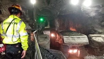 Freeport Papua: Kepastian Tambang Beroperasi 2041, Pemerintah Dapat 12% Saham Tanpa Bayar