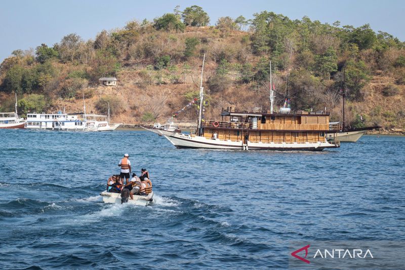 Gempa M7,7 NTT: 3 Destinasi Wisata di Flores Masih Ditutup, TN Komodo Tetap Beroperasi Normal