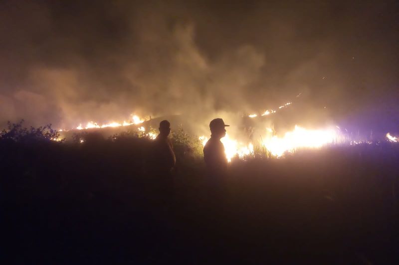Karhutla di Gunung Kalendang Touna Seluas 20 Hektare Berhasil Dipadamkan, Api Diduga Dipicu Puntung Rokok