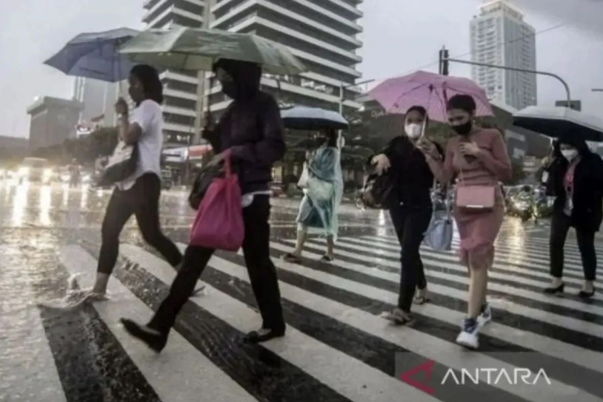 Prakiraan Cuaca Jambi Hari Ini Berawan, Sederet Kota Besar Lainnya Diguyur Hujan Ringan