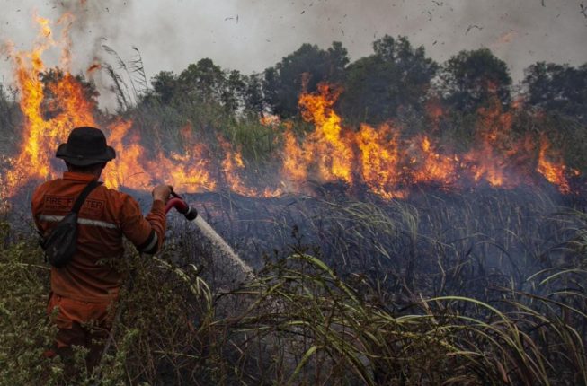 Wali Kota Palembang Ratu Dewa Minta Tirta Musi dan Damkar Kolaborasi Antisipasi Karhutla, 3 Kecamatan Jadi Perhatian