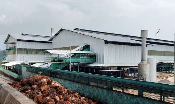 Pemerintah Siapkan Bursa Komoditas Icomex untuk Sawit, Nikel, dan Batu Bara, Target Beroperasi 2027