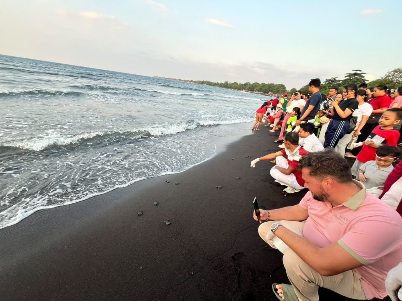 PLN Indonesia Power UBP Bali Lepasliarkan 100 Tukik di Pantai Kerobokan Buleleng, Ramaikan HUT ke-81 RI