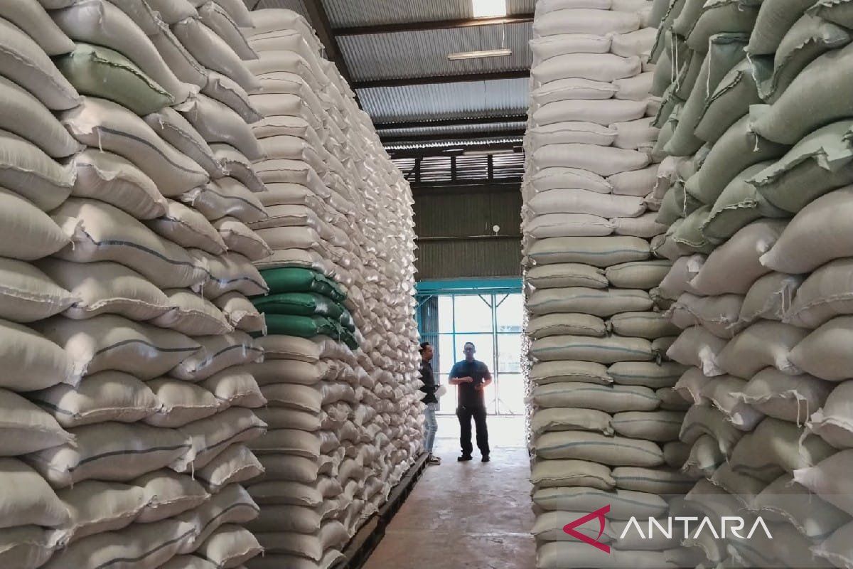 Bulog Sumut Terima 46.000 Ton Beras dari Stok Nasional, 4.000 Ton Sudah Tiba di Medan