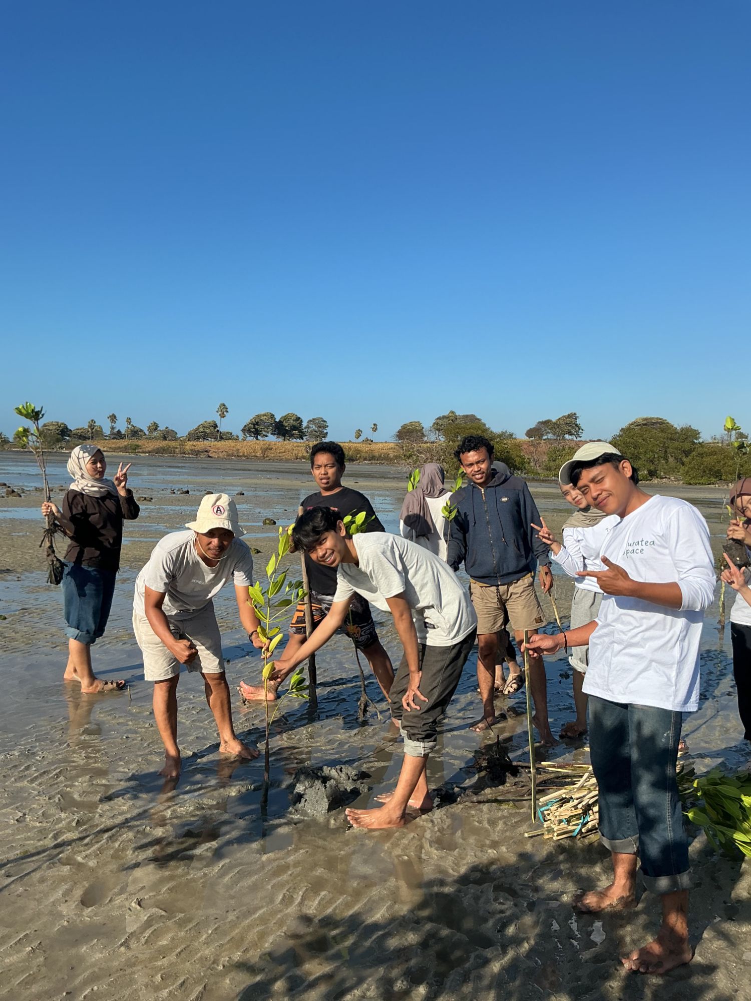 HPMT UINAM Tanam 1.000 Bibit Mangrove di Pesisir Desa Pao, Sulsel, Isi Milad ke-34 dengan Aksi Lingkungan